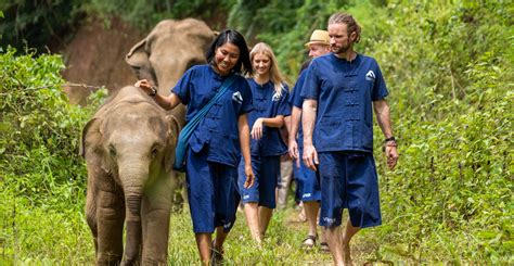 animal volunteering abroad|best wildlife conservation volunteer opportunities.